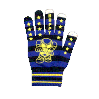 
              Ultrastripe Gloves - Blue
            